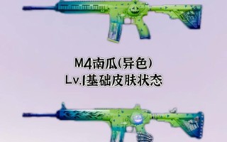 绝地求生中如何展示主页枪？