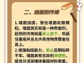 《小森生活》玩家必备（如何修复石墙）