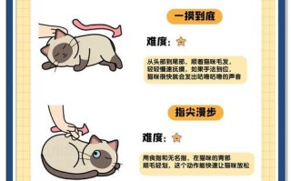小喵喵高效打怪方法是什么？