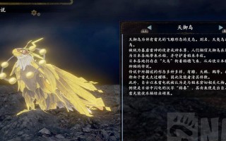 以仁王2守护灵，选择哪个好（探索最适合你的守护灵）