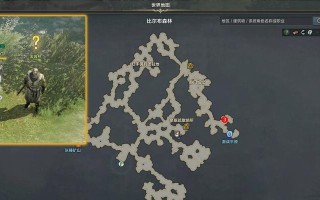 口袋妖怪解放小岛救星任务攻略是什么？