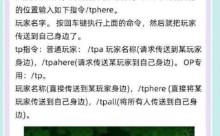 我的世界中如何查看玩家状态？