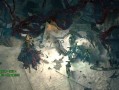 全面战争（骑上死亡的力量）