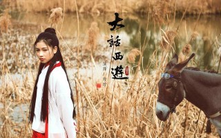 大话西游中如何演绎角色？有哪些技巧？