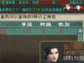 大话西游三转任务攻略是什么？如何顺利通过三转考验？