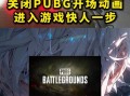 绝地求生中闪光物品如何关闭？关闭后效果如何？