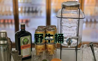 魂武者手游野牛技能详解？如何有效使用野牛角色？