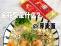 开麦百家争鸣功能如何使用？它有什么好处？