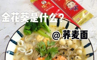 开麦百家争鸣功能如何使用？它有什么好处？