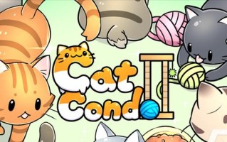 以猫咪公寓客房房客满意度100%的布置方法（打造舒适宜人的猫咪公寓客房）