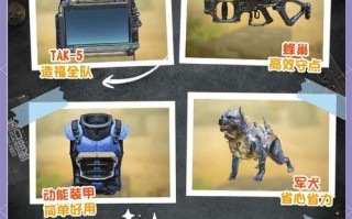 《使命召唤手游全模式玩法详解》（新手玩那个模式最好）