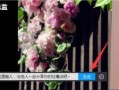 关闭号角弹幕移动的步骤是什么？