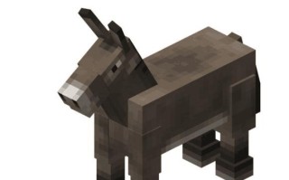 在Minecraft中马的正确读法是什么？