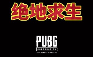 绝地求生窗口闪烁问题如何解决？有效方法有哪些？