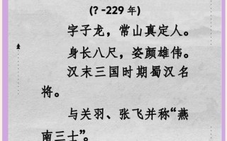 常山赵云在《三国志14》中的战斗之道（以武将点评为主）