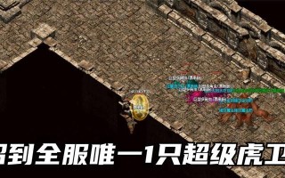 热血传奇6级虎卫挑战攻略是什么？