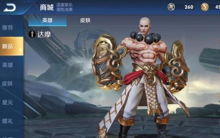 王者荣耀达摩（玩转达摩）
