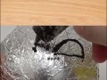 我的世界如何制作月球？制作月球的方法是什么？