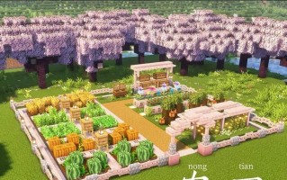 在《我的世界》中耕田的正确步骤是什么？耕田需要注意什么？