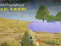 绝地求生暴力倾向问题如何解决？