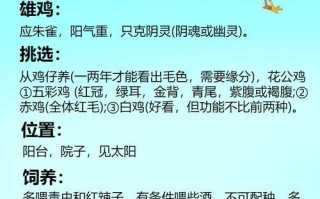 《梦幻飞仙仙宠攻略详解》（探索仙宠世界）