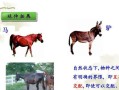 《以鸿之下》马匹特技与育马技巧要点详解（掌握游戏中的马术绝技）