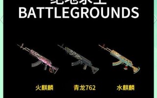 绝地求生排位赛武器设置方法是什么？设置步骤有哪些？