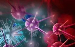 玩游戏的你可能会忽略的猪肉绦虫症状（医院计划揭秘）