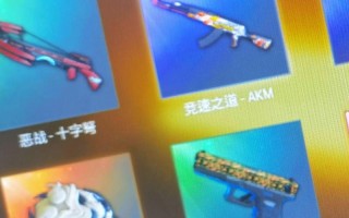 绝地求生青龙异色皮肤如何预览？