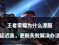 王者荣耀460延迟问题如何解决？