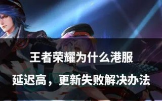王者荣耀460延迟问题如何解决？