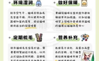 更换宠物皮肤的步骤是什么？如何选择合适的皮肤？