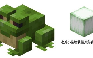 我的世界中青蛙的孵化方法是什么？