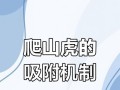 绝地求生爬墙技巧是什么？如何在房间内实现？