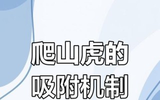 绝地求生爬墙技巧是什么？如何在房间内实现？
