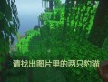 我的世界豹猫驯服技巧有哪些？