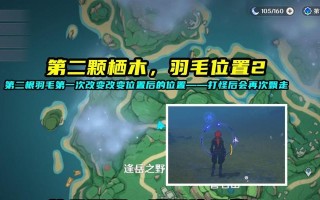 原神22雾海与树之祭任务怎么完成？攻略步骤是什么？