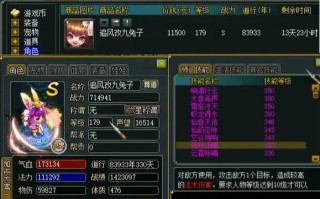 问道玄龟神兽技能搭配的最佳方案是什么？
