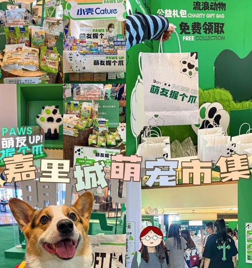 猫之城金涂鸦速刷攻略（掌握技巧）-第3张图片-西柚游戏