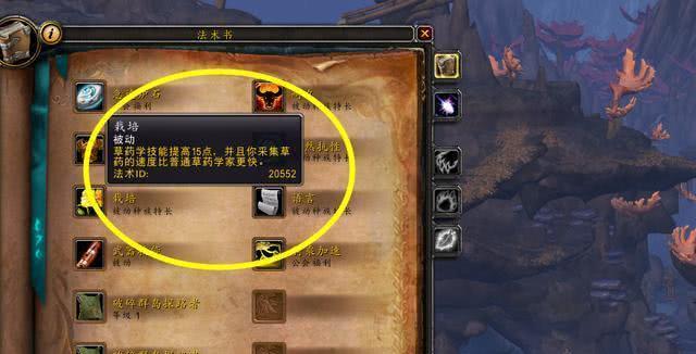 魔兽世界中金币如何快速获得？-第2张图片-西柚游戏