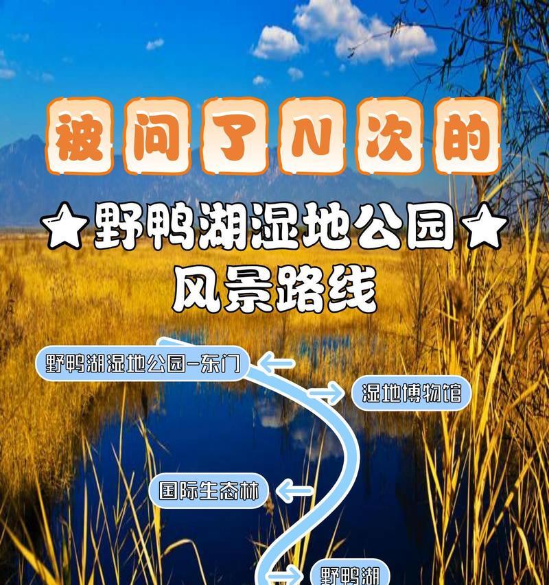 湿地入口位置在哪里？进入湿地的正确方法是什么？-第3张图片-西柚游戏