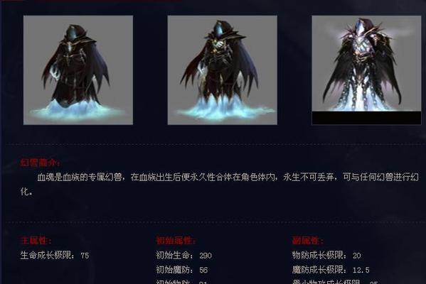 魔域血魂合攻击的方法是什么？合攻击需要注意什么？-第3张图片-西柚游戏