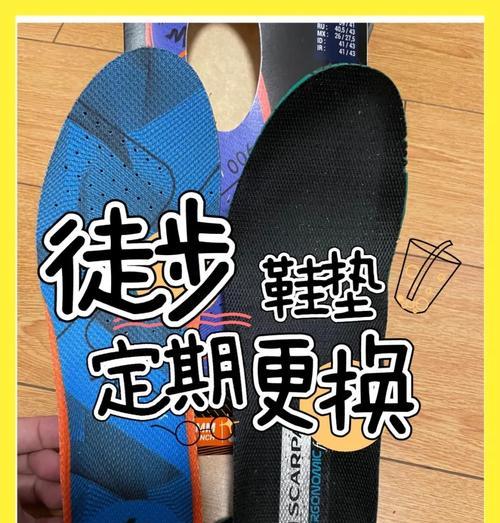 征途1代鞋垫子更换方法？更换后性能有何提升？-第2张图片-西柚游戏