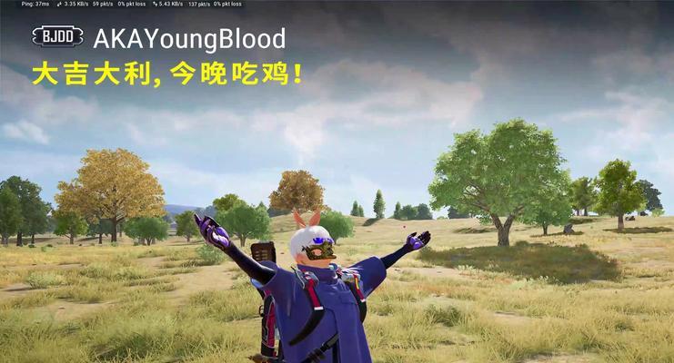 绝地求生画面颜色如何调整得更鲜明？调整后对游戏体验有何影响？-第3张图片-西柚游戏