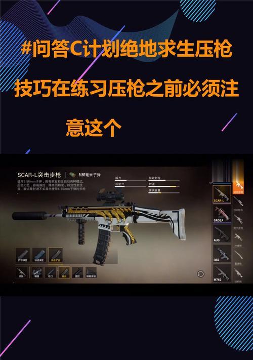 绝地求生二审流程是怎样的？需要注意哪些事项？-第3张图片-西柚游戏