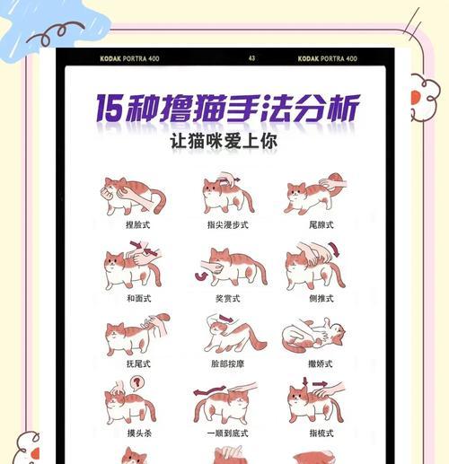 小喵喵高效打怪方法是什么？-第2张图片-西柚游戏