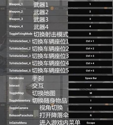 绝地求生中al模式如何操作？遇到问题怎么办？-第2张图片-西柚游戏