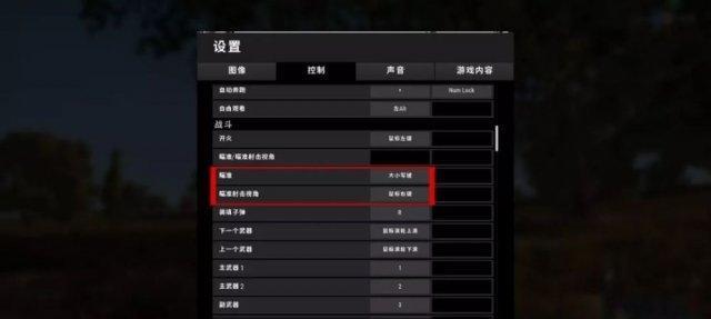 绝地求生二中关闭近身攻击的设置在哪里？关闭后对游戏体验有何影响？-第1张图片-西柚游戏