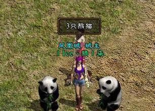 彩虹岛小草双开方法是什么？双开操作中需要注意什么？-第3张图片-西柚游戏