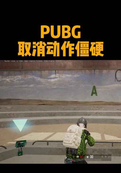 绝地求生武器模式如何激活？-第3张图片-西柚游戏
